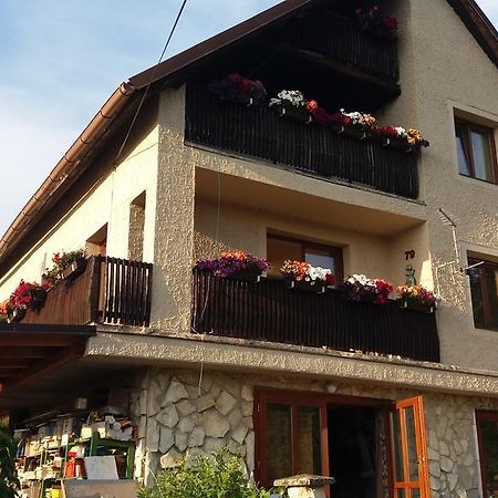 Apartmany Sharka -Sarka Justrova ジェチーン エクステリア 写真
