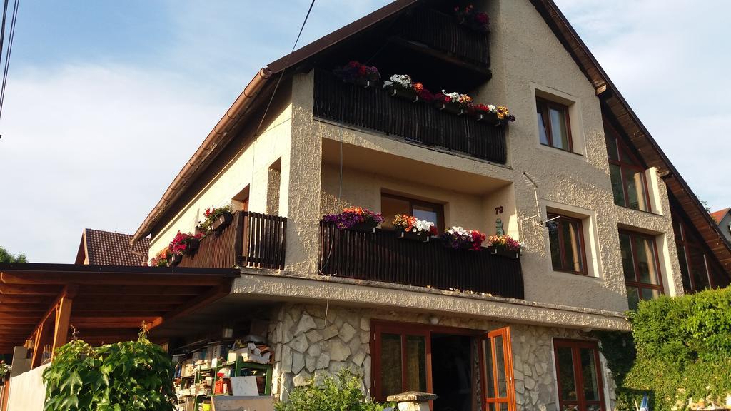 Apartmany Sharka -Sarka Justrova ジェチーン エクステリア 写真